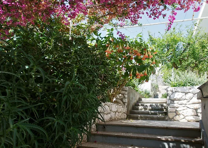 Vinka Tudor Hvar Town