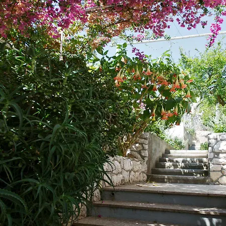 Vinka Tudor Hvar Town