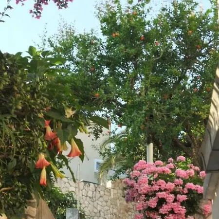 Vinka Tudor 3* Hvar Town