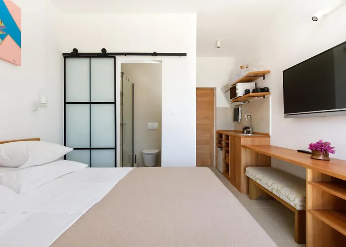 Vinka Tudor Guest house 3*