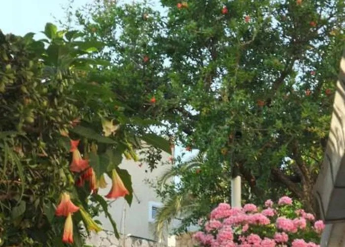 Vinka Tudor 3* Hvar Town