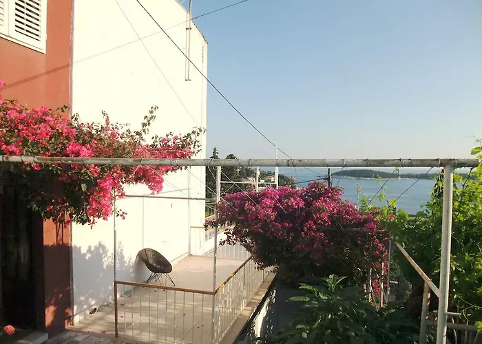 Guest house Vinka Tudor 3*